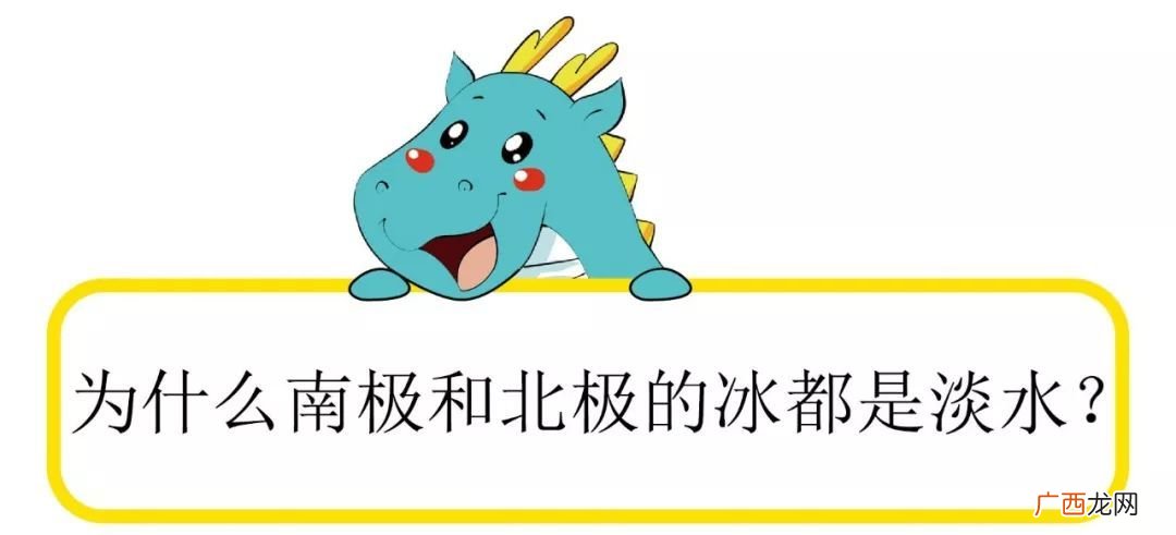 南极和北极相同之处不同之处,北极南极的区别？