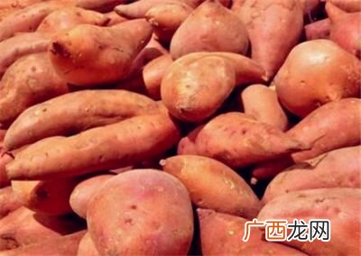 红薯是不是高糖食物,不甜的红薯也含糖高吗？