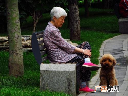 老妪和老媪的区别,古代如何称呼老者?
