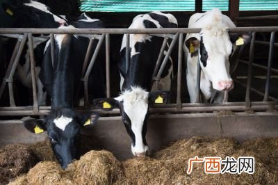 涮羊肉起源于中国历史上哪个朝代,吃涮羊肉的旺季在什么时候？