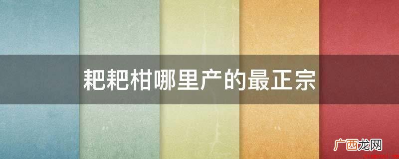耙耙柑原产地日本,可是最经典的粑粑柑 耙耙柑哪里产的最正宗