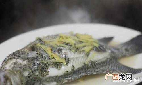 清蒸鱼选什么鱼好吃,清蒸鱼用什么鱼好，适合做清蒸鱼的鱼种？