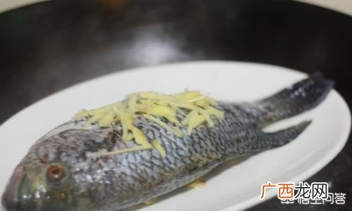 清蒸鱼选什么鱼好吃,清蒸鱼用什么鱼好，适合做清蒸鱼的鱼种？