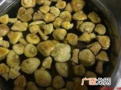 羊肚耳怎么吃