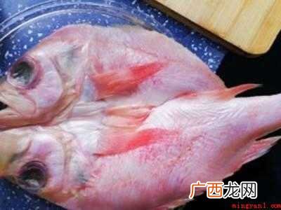 红石斑鱼怎么吃