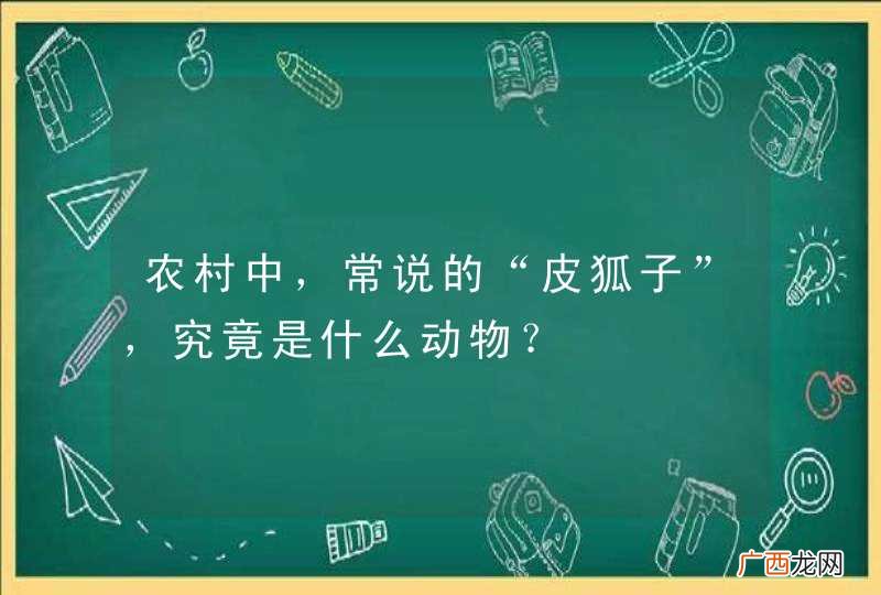 农村中，常说的“皮狐子”，究竟是什么动物？