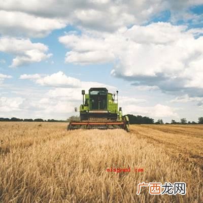 农业中国一直高度重视农业的基本影响力 我国能耗最低的领域有哪些？