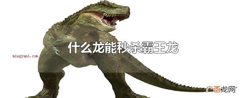 并没什么恐龙可以真真正的意义上的秒杀霸王龙 什么龙能秒杀霸王龙