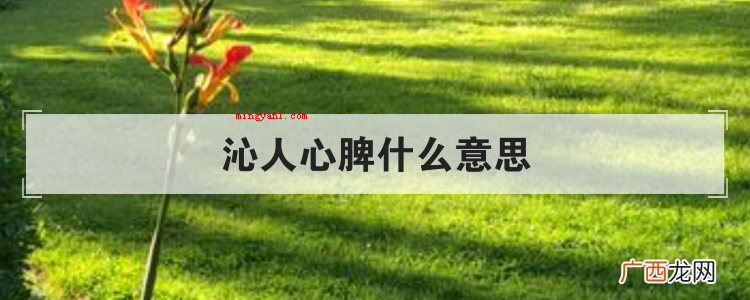 简略回应沁人肺腑,出自宋·林洪《冷泉亭》诗,描述诗文和文章内 沁人心脾什么意思