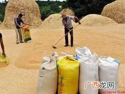 用什么方法可以长期保存小麦