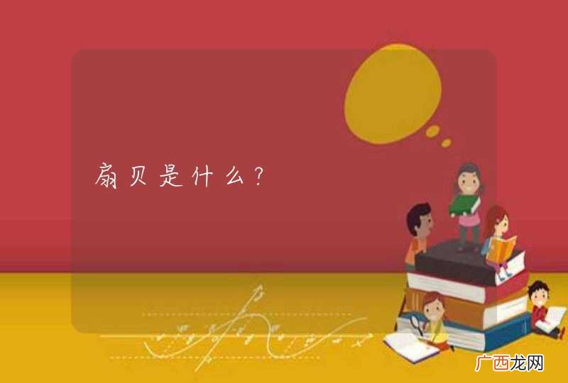 扇贝是什么?