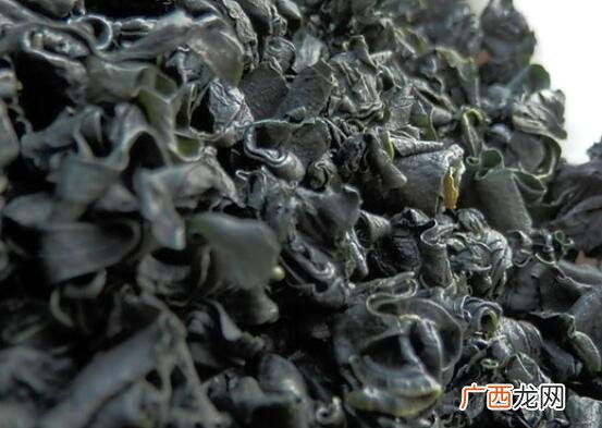 螺旋海藻和裙带菜的营养价值区别 螺旋海藻和裙带菜的区别