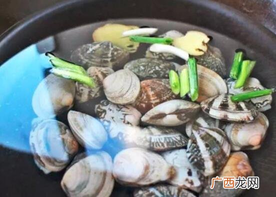 海蛤和花蛤的营养价值区别 海蛤和花蛤的区别