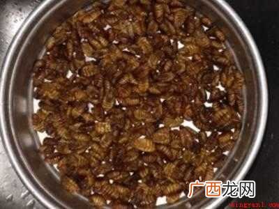 怎么吃蚕蛹