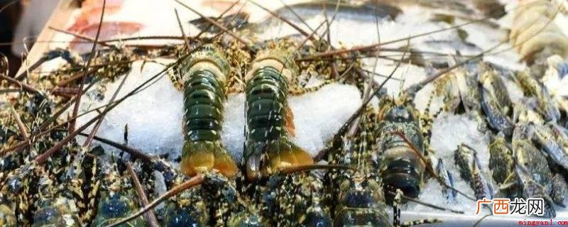 海鲜的归类有活海鲜、冷藏海鲜 海鲜可以带上火车吗