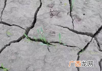 土壤板结什么意思,土壤结块是酸性还是碱性?