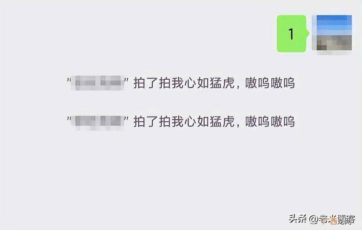 拍一拍功能在哪设置文字 微信拍了拍后面加一句话怎么设置