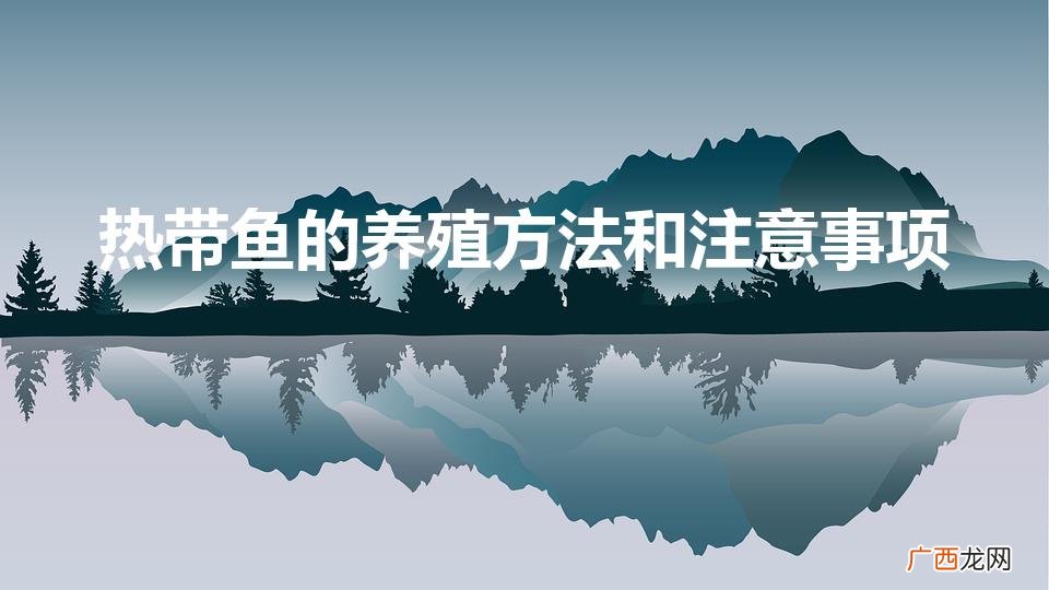 热带鱼的养殖方法和注意事项（养鱼不死鱼的三个绝招)