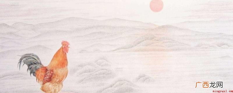 公鸡能报晓是由本质的生理时钟调节的,但外在的光线和响声刺激性 公鸡为什么能报晓
