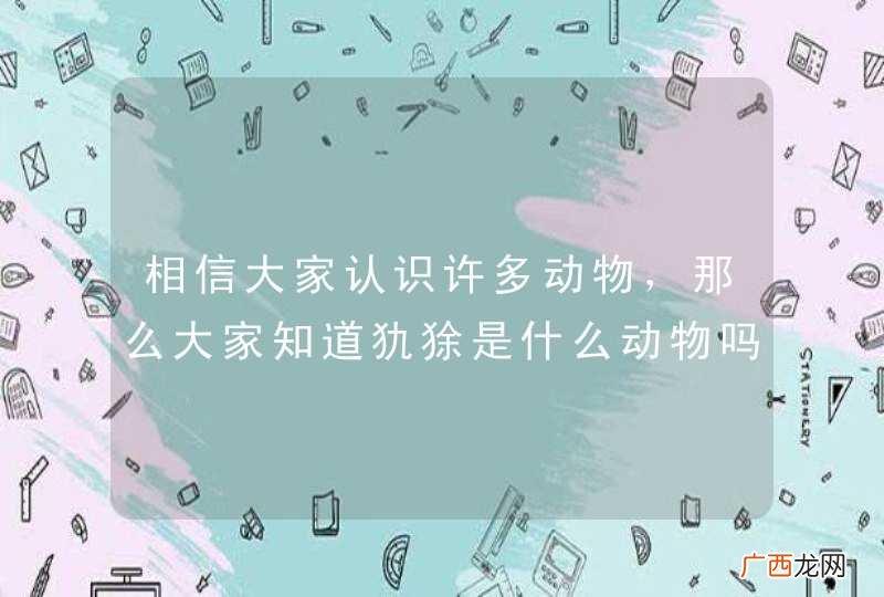 相信大家认识许多动物，那么大家知道犰狳是什么动物吗？