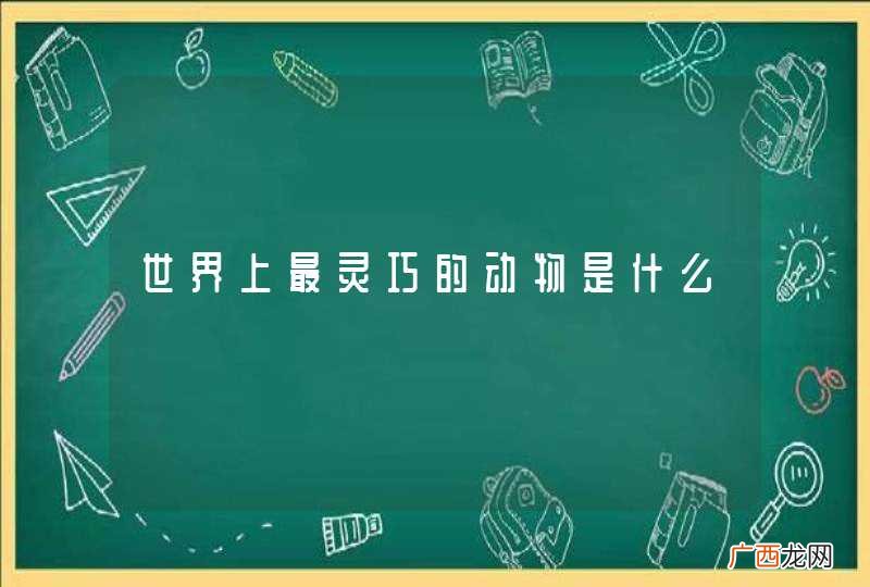 世界上最灵巧的动物是什么