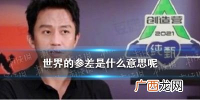 参差的意思参差的意思是什么,人与人的参差什么意思？