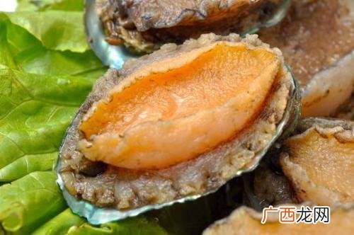如何区分珍珠鲍和鲍鱼,鲍鱼是蜗牛吗？