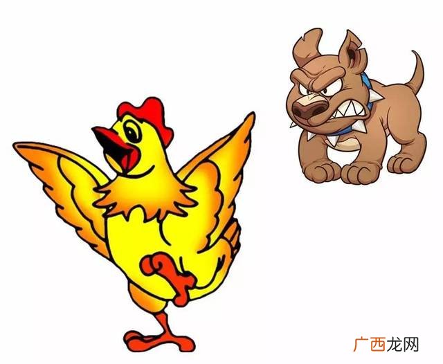 犬守夜鸡司晨什么意思,鸡司晨犬守夜是什么功夫？