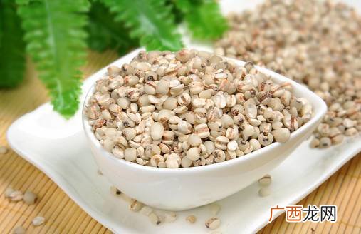 薏米是什么薏米介绍,薏米哪个地方产的最好？