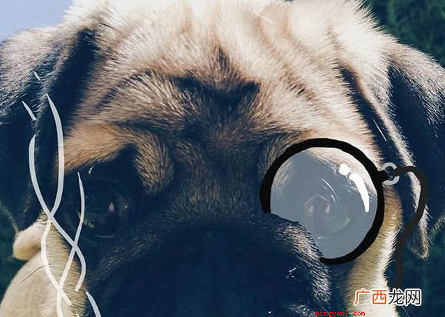 搞笑名字大全:回家养殖算勒、功能键致伤、郑射你没罪、我猥亵、 搞笑名字大全
