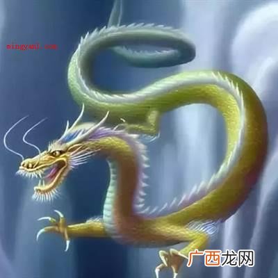 龙五门六肖有洞天就是指龙门阵,因此是生肖猴 五门六肖是指哪个生肖？