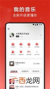 网易云音乐有车机版吗,汽车可以播放ncm格式的音乐吗？