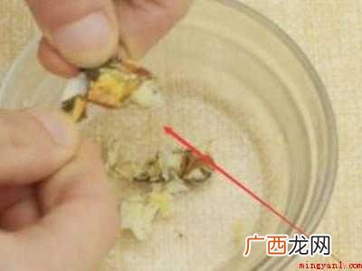 蟹钳怎么吃里面的肉