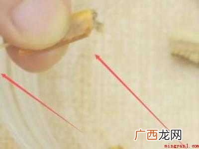 蟹钳怎么吃里面的肉