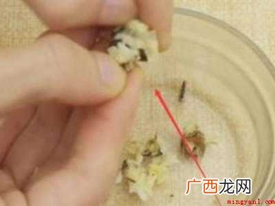 蟹钳怎么吃里面的肉