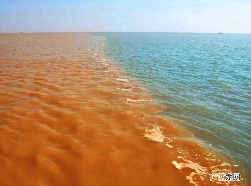 黄河注入什么海