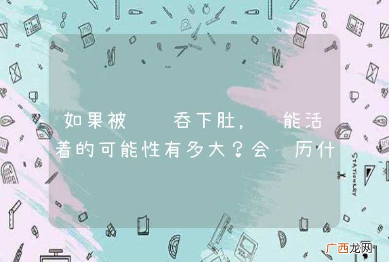如果被鲸鱼吞下肚，还能活着的可能性有多大？会经历什么？