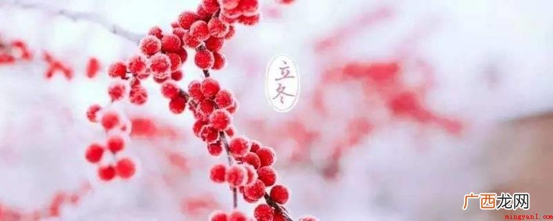 冬至可以做的主题活动有祭祀、补冬、吃饺子、酿米酒“交冬糍” 立冬可以做什么活动