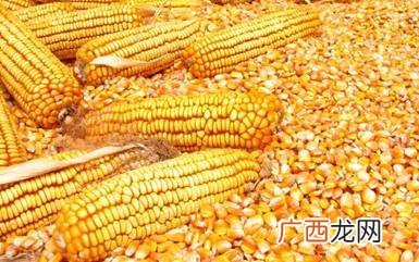 玉米的拼音玉米还有哪些叫法,玉米的玉是什么结构？
