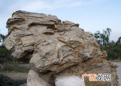 沉积岩有哪些,什么沉积岩有石油？