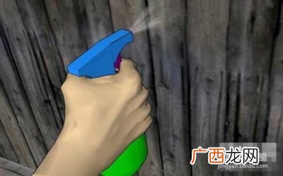 广东臭虫怎么消灭,我所在的工地上有臭虫，我马上就要回家了，担心把臭虫也带回家，怎么办？