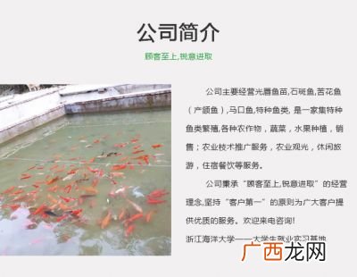 小溪石斑鱼养殖方法是什么,溪石斑鱼养殖方法？