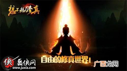 悟道茶怎么使用,一杯茶泡出百味人生？