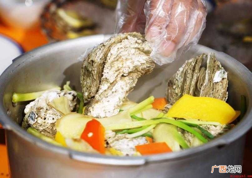 生蚝的肉质鲜美,营养丰富! 生蚝的吃法有哪些