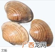 蛤粉和钛白在用法上有啥区别,国画颜色朱膘什么颜色？