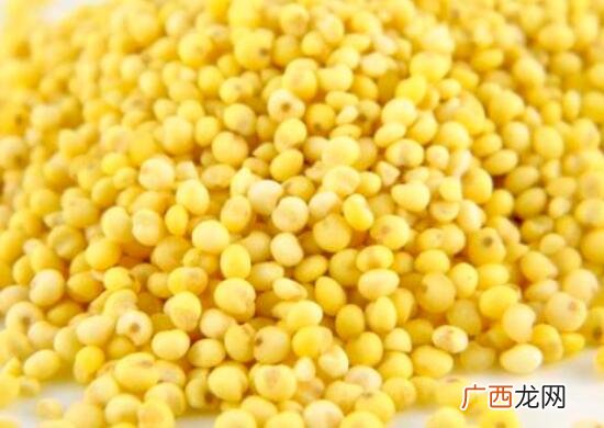 糯小米和粘小米的吃法区别 糯小米和粘小米的区别