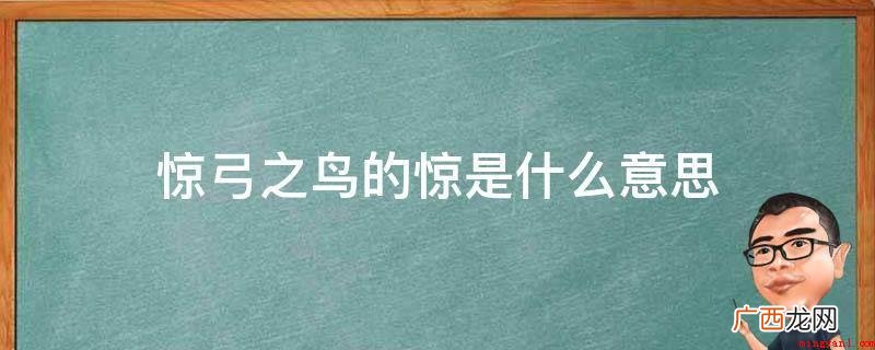 惊弓之鸟的惊释意:被惊扰 惊弓之鸟的惊是什么意思