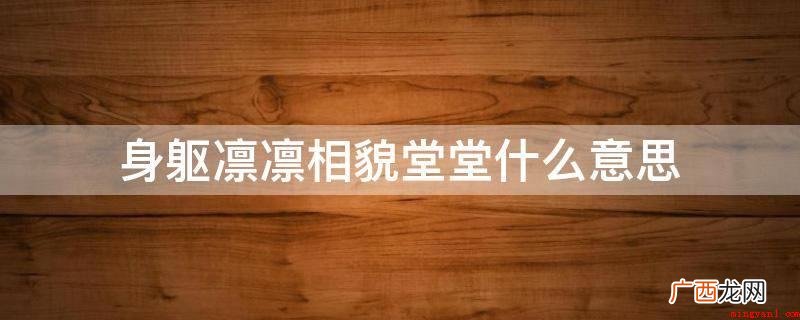 好似天空降魔主,真的是世间太岁神 身躯凛凛相貌堂堂什么意思