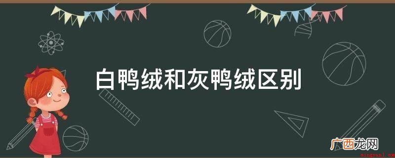白绒和灰绒的区别在哪儿? 白鸭绒和灰鸭绒区别