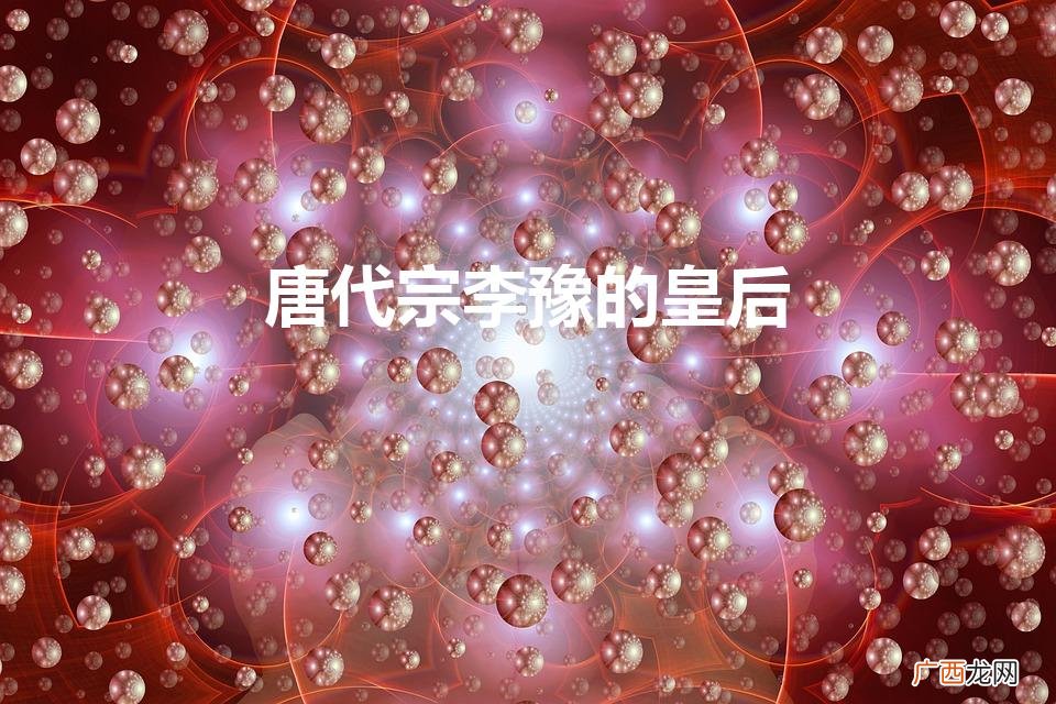 唐代宗李豫的皇后（唐代宗李豫的皇后独孤靖瑶)